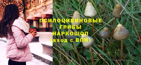 бутират Мегион