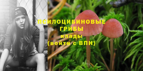бутират Мегион
