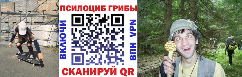 Галлюциногенные грибы Cubensis Нефтегорск